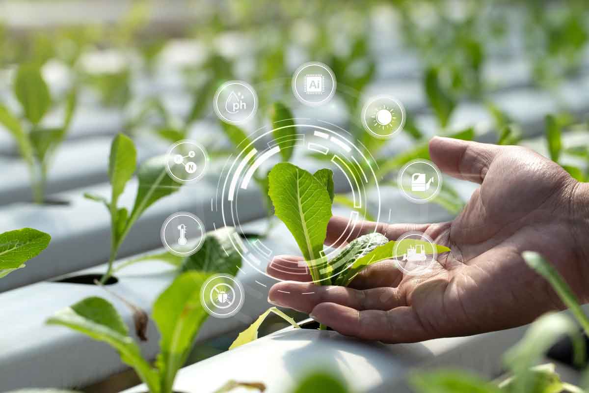 Agriculture & AgriTech